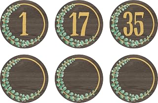 Teacher Created Resources Eucalyptus Numbers Magnetic Accents (TCR77484)