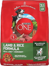 Purina ONE Lamb and Rice Dry Dog Food, 31.1 lb Bag
