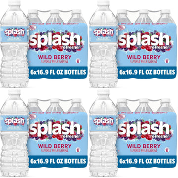 Splash Refresher Wild Berry | 16.9 Fl Oz | Plastic Bottle | 24 Pack by SPLASH BLAST – 16.9 Fl Oz (Pack of 24), Clear, Model H-3044