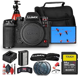 Panasonic LUMIX S1 II Mirrorless Camera | 24.2MP Full-Frame BSI Sensor, 6K Video, Dual I.S. 2, Phase Hybrid AF, 30fps Burst, L-Mount Body (DC-S1M2SBODY) + 64GB Card + Camera Bag + More