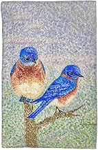Two Blue Birds Kitchen Towel - 16x25