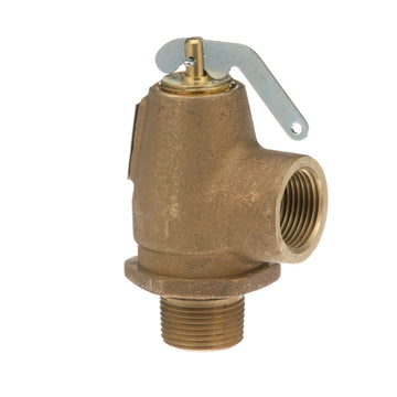 AllPoints 561349 Steam Safety Relief Valve - Default Title