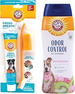 Arm & Hammer Fresh Breath Dog Dental Care Kit with Toothbrush & Chicken Toothpaste (2.5 oz) + Deodorizing Dog Shampoo for Smelly Dogs, Kiwi Blossom Scent, Tearless Formula (20 oz)