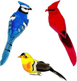 LWINGFLYER 3pcs Artificial Birds Realistic Red Cardinal Blue Jay Yellow Goldfinch with Metal Clip Assorted Birds Ornaments for Christmas Tree Decoration and Crafts