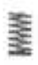 Spring Check Valve