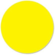 DayMark - 112338 - DuraMark 1 in Round Yellow Label