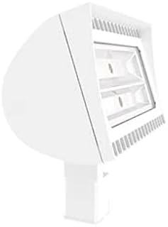 RAB Lighting FXLED105SFNW Outdoor, Image
