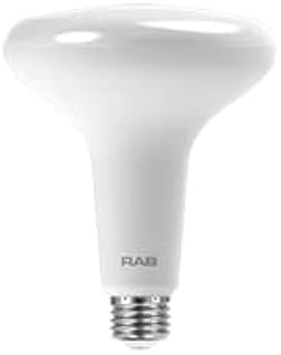 RAB Lighting BR40-15-827-DIM Outdoor, Image