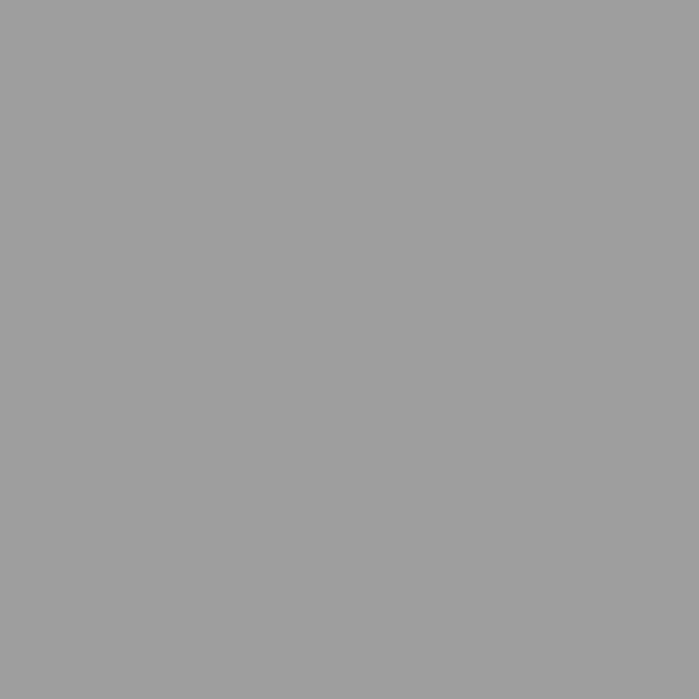 Grey Reptile Lounge by Bison Pets – Glass, Grey