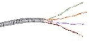 Belkin Network Cable - 1000 ft (A7L504-1000-P-H)