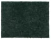 3M Scotch-Brite General Purpose SCOURING PAD (50048011055423)