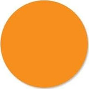 DayMark - 112339 - DuraMark 1 in Round Orange Label