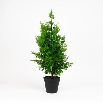 Mills Floral Company 1258X1201 Cypress Topiary, 9" x 9" - Default Title