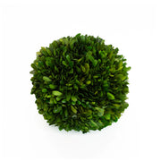 Mills Floral Company Preserved Boxwood Ball, Green - 8"