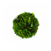 Mills Floral Company Preserved Boxwood Ball, Green - 4"