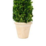 Mills Floral Company 850SS0620 Cone Topiary, 5" x 5" - photo 3