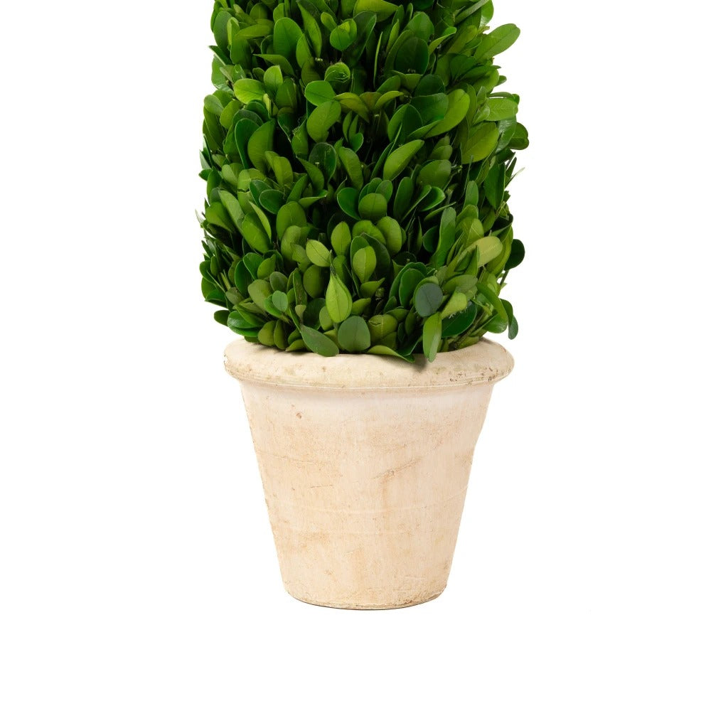 Mills Floral Company 850SS0620 Cone Topiary, 5" x 5" - photo 3