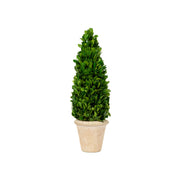 Mills Floral Company 850SS0620 Cone Topiary, 5" x 5" - Default Title