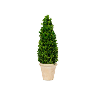 Mills Floral Company 850SS0620 Cone Topiary, 5" x 5" - Default Title