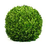 Mills Floral Company Preserved Boxwood Ball, Green - 22"