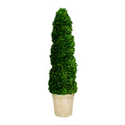 Mills Floral Company 8522SS0101 Spiral Topiary, 12" x 12" - Default Title