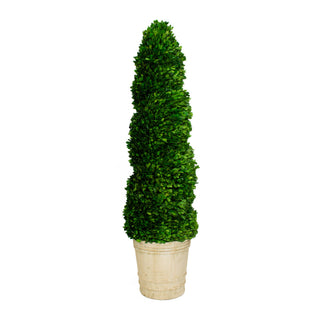 Mills Floral Company 8522SS0101 Spiral Topiary, 12" x 12" - Default Title