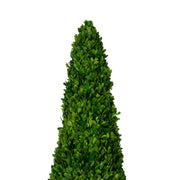 Mills Floral Company 853SS0120 Cone Topiary - photo 3