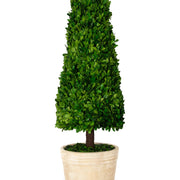 Mills Floral Company 853SS0120 Cone Topiary - photo 4