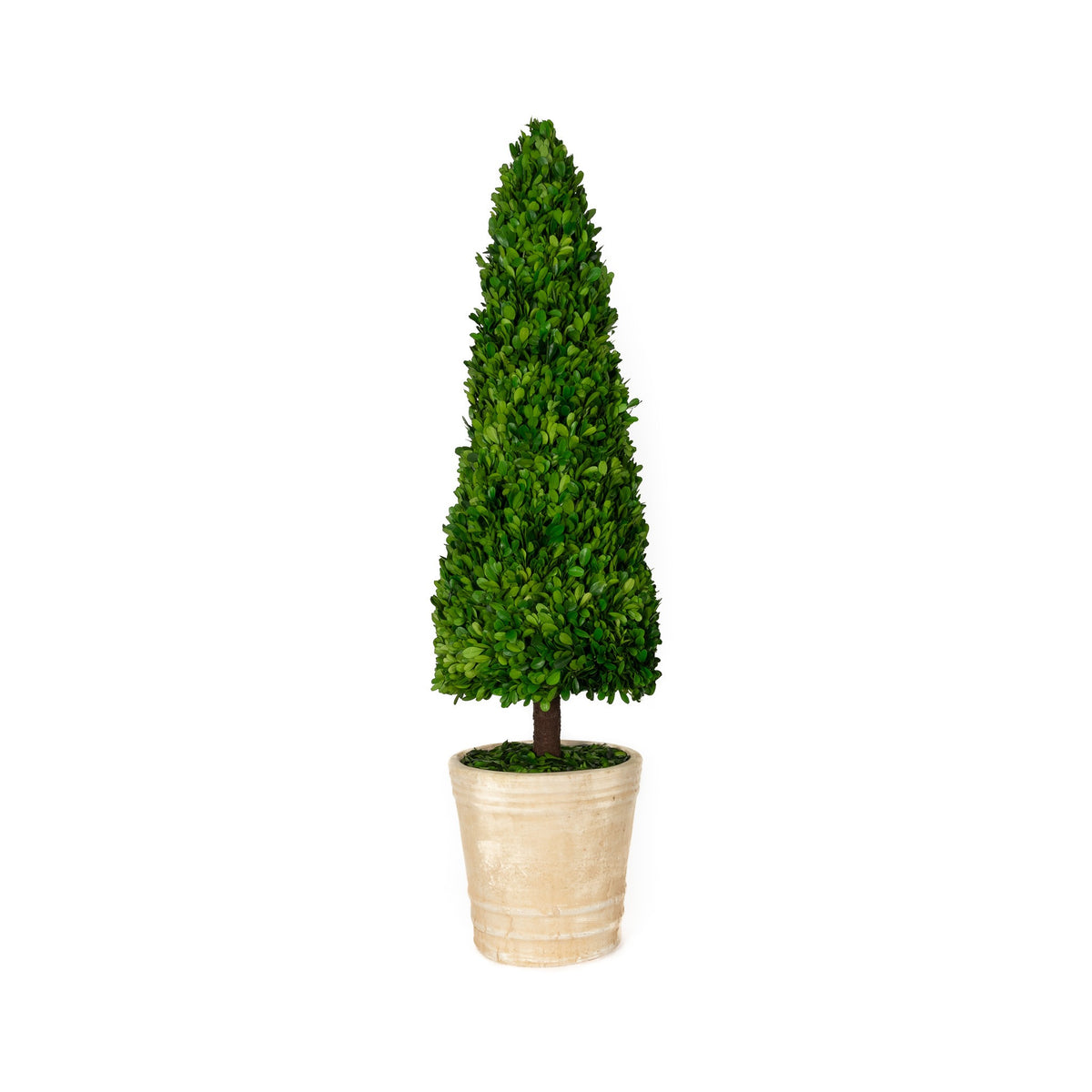 Mills Floral Company 853SS0120 Cone Topiary - Default Title