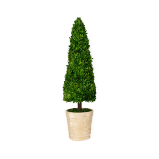 Mills Floral Company 853SS0120 Cone Topiary - Default Title