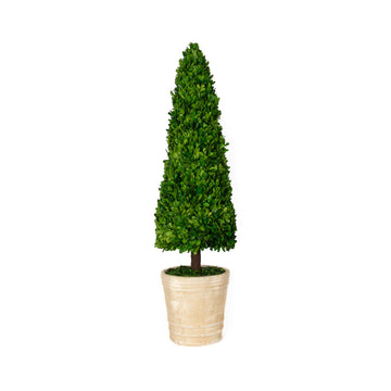 Mills Floral Company 853SS0120 Cone Topiary - Default Title