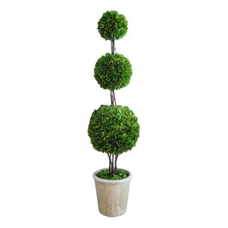 Mills Floral Company 8543SS0101 Ball Topiary - Default Title