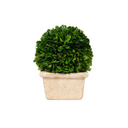 Mills Floral Company 8545SS0401 Square Pot, 6" x 6" - photo 2