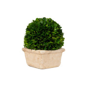 Mills Floral Company 8545SS0401 Square Pot, 6" x 6" - Default Title