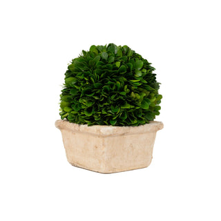 Mills Floral Company 8545SS0401 Square Pot, 6" x 6" - Default Title