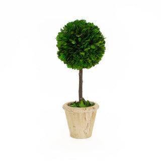 Mills Floral Company Ball Topiary - 5"