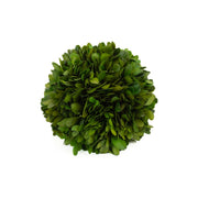 Mills Floral Company Preserved Boxwood Ball, Green - 6"