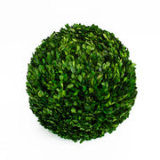 Mills Floral Company Preserved Boxwood Ball, Green - 16"