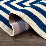 Abani CAS120C-5 Polypropylene Area Rug, 63" x 90" - photo 4