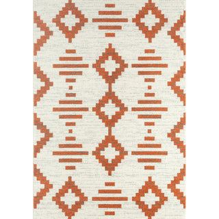 Abani CAS240A-4 Polypropylene Area Rug, 48" x 72" - Default Title