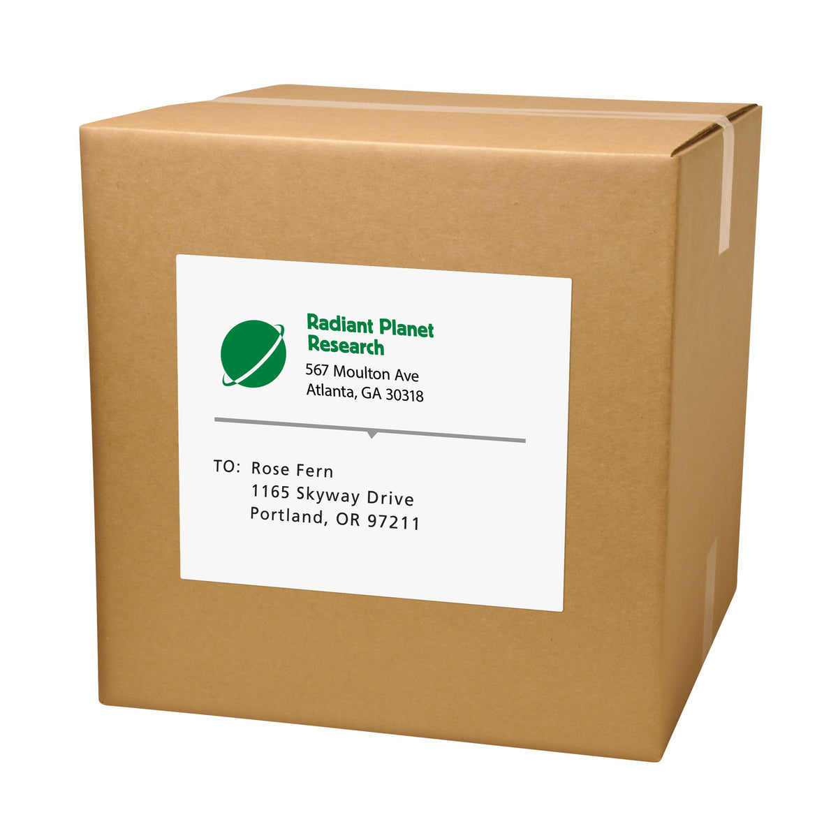 Avery Label, 8 1/2" x 11", White, 500/Box - 91200