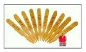 Wooden Steak Markers, Medium, 10 Case - 500 Count
