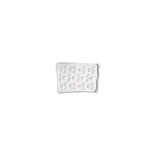 Culinary Puree Polypropylene 17 x 11" Mold by HUBERT – 17.0 liters, Plastic, White, Model APRICOT HALVES