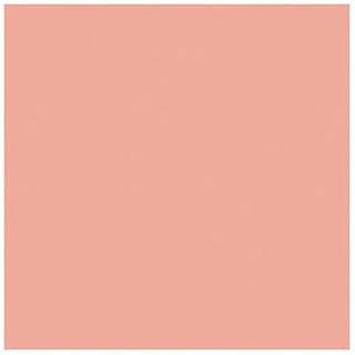 Chartpak AD Marker [Set of 3] Color: Flesh