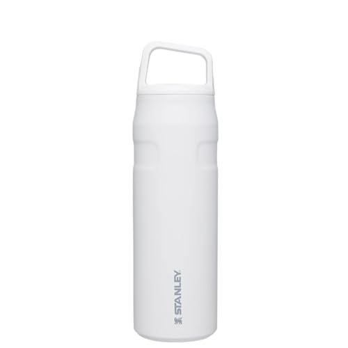 STANLEY Lavender / 16.0 ounces Sports Water Bottles