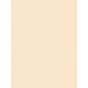 Tagboard Manila Medium Weight 9x12" by Pacon – 9" x 12", Paper, Manila, Pack of 100, Model P5181