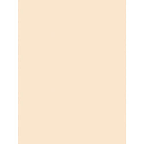 Tagboard Manila Medium Weight 9x12" by Pacon – 9" x 12", Paper, Manila, Pack of 100, Model P5181