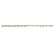 Winco 1 / Interlocking / Clear Serveware Accessories