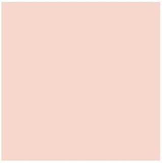 Chartpak AD Marker Individual - Pale Flesh