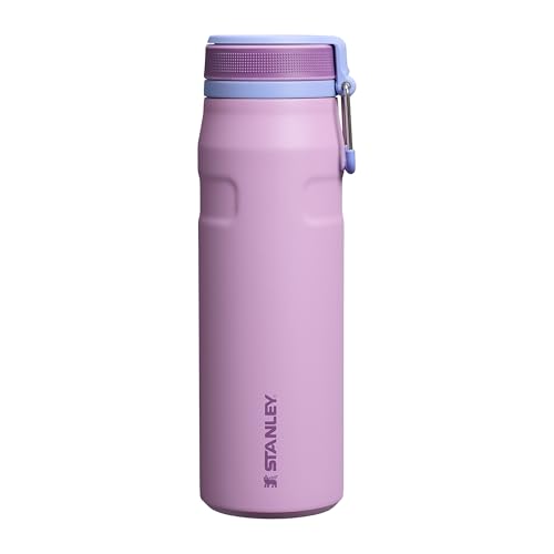 STANLEY fliederfarben / 24 Ounces / 0.71 liters Sports Water Bottles